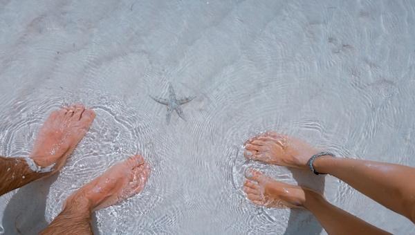 Two people standing in water with starfish